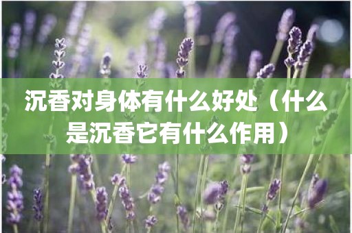 沉香对身体有什么好处（什么是沉香它有什么作用）