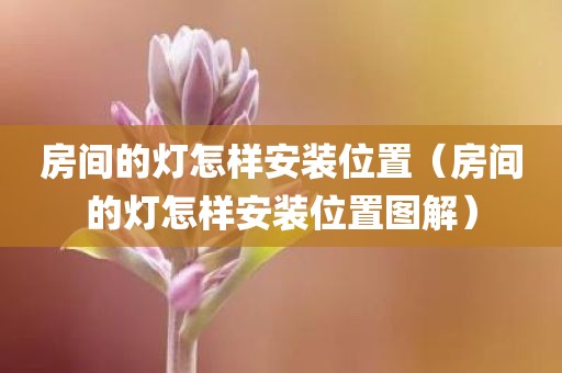 房间的灯怎样安装位置（房间的灯怎样安装位置图解）