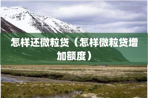 怎样还微粒贷（怎样微粒贷增加额度）