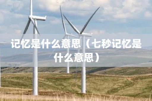记忆是什么意思（七秒记忆是什么意思）