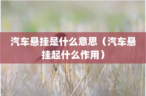 汽车悬挂是什么意思（汽车悬挂起什么作用）