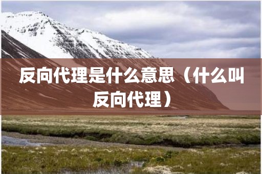 反向代理是什么意思（什么叫反向代理）