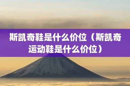 斯凯奇鞋是什么价位（斯凯奇运动鞋是什么价位）