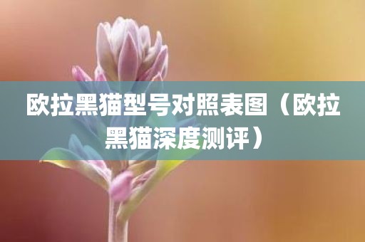 欧拉黑猫型号对照表图（欧拉黑猫深度测评）