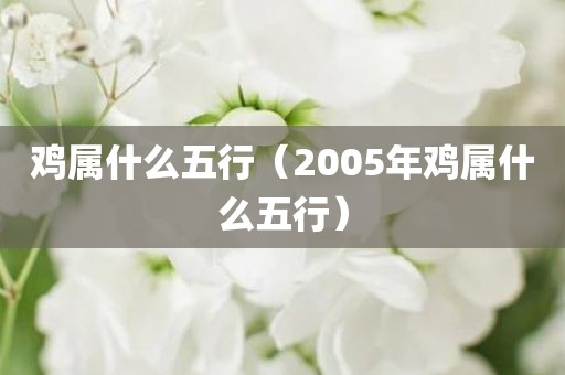 鸡属什么五行（2005年鸡属什么五行）