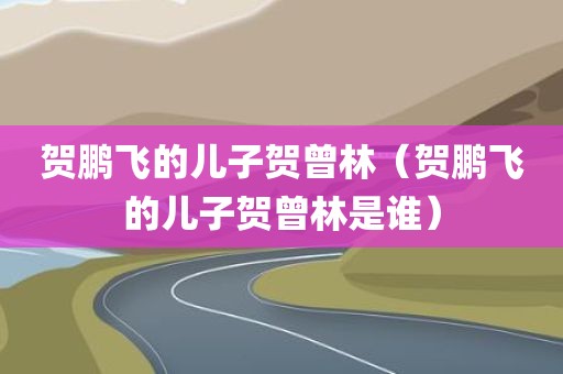 贺鹏飞的儿子贺曾林（贺鹏飞的儿子贺曾林是谁）