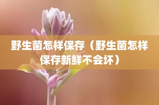 野生菌怎样保存（野生菌怎样保存新鲜不会坏）
