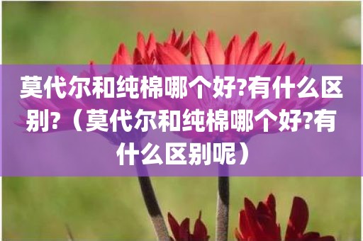 莫代尔和纯棉哪个好?有什么区别?(莫代尔和纯棉哪个好?有什么区别呢) 莫代尔和纯棉哪个好?有什么区别?(莫代尔和纯棉哪个好?有什么区别呢)