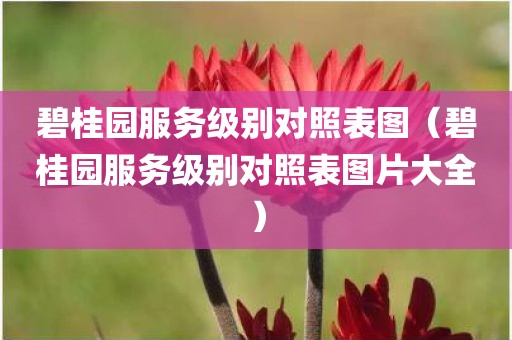 碧桂园服务级别对照表图（碧桂园服务级别对照表图片大全）
