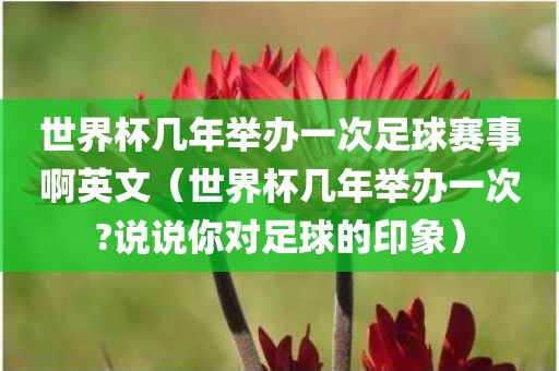 世界杯几年举办一次足球赛事啊英文（世界杯几年举办一次?说说你对足球的印象）