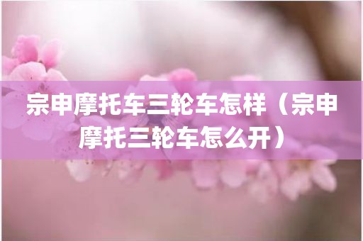 宗申摩托车三轮车怎样（宗申摩托三轮车怎么开）