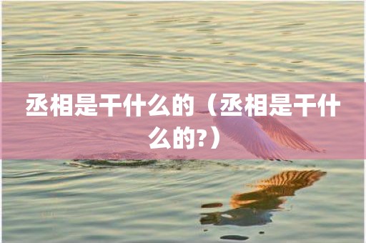 丞相是干什么的（丞相是干什么的?）