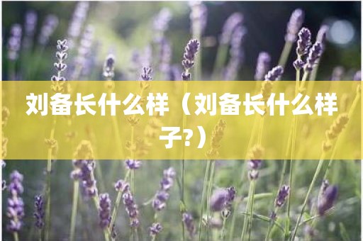 刘备长什么样（刘备长什么样子?）