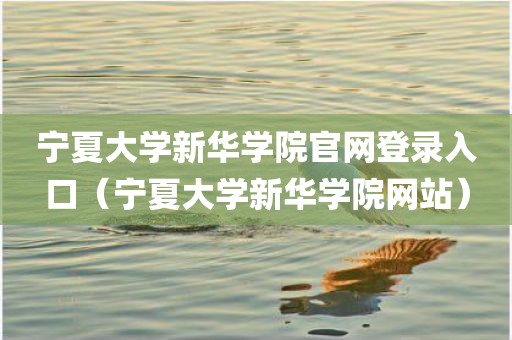 宁夏大学新华学院官网登录入口（宁夏大学新华学院网站）