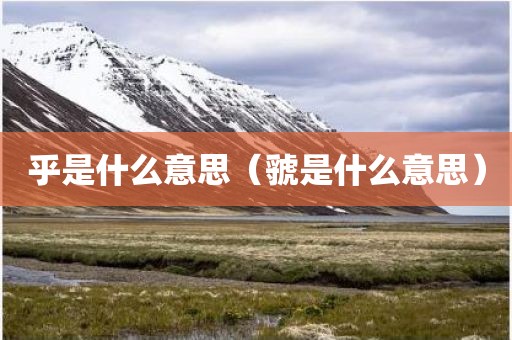 乎是什么意思（虢是什么意思）