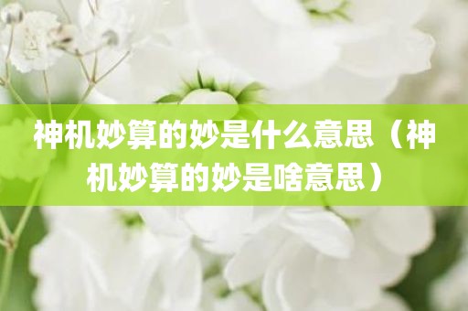 神机妙算的妙是什么意思（神机妙算的妙是啥意思）