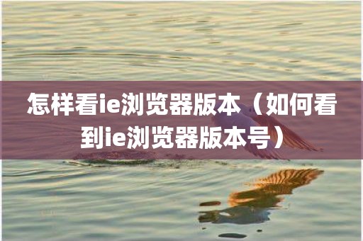 怎样看ie浏览器版本（如何看到ie浏览器版本号）