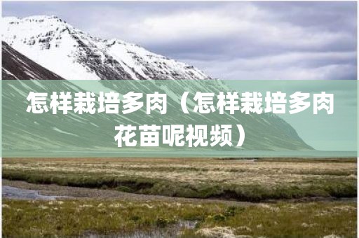 怎样栽培多肉（怎样栽培多肉花苗呢视频）