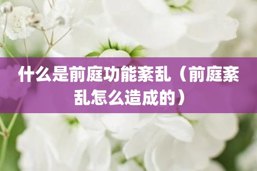 什么是前庭功能紊乱（前庭紊乱怎么造成的）