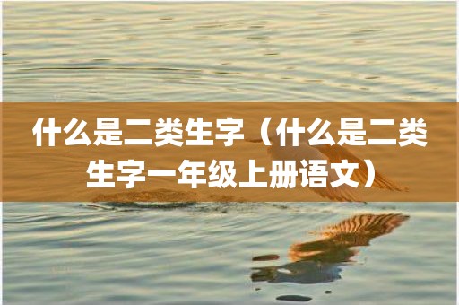 什么是二类生字（什么是二类生字一年级上册语文）