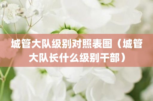 城管大队级别对照表图（城管大队长什么级别干部）