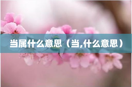 当属什么意思（当,什么意思）