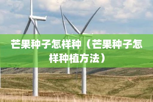 芒果种子怎样种（芒果种子怎样种植方法）