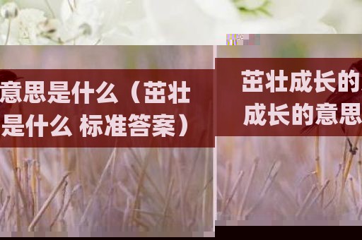 茁壮成长的意思是什么（茁壮成长的意思是什么 标准答案）