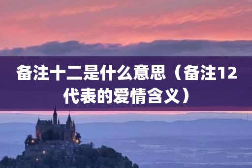 备注十二是什么意思（备注12代表的爱情含义）