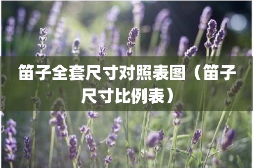 笛子全套尺寸对照表图（笛子尺寸比例表）