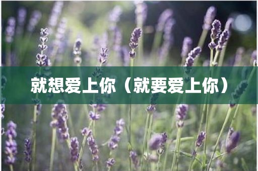 就想爱上你（就要爱上你）