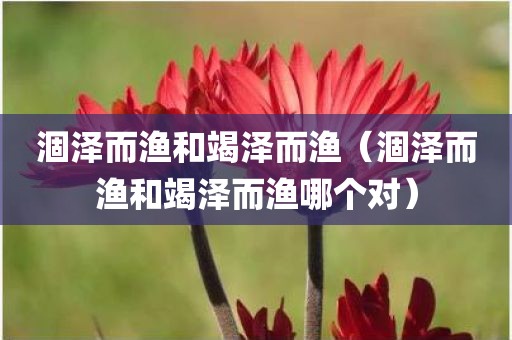涸泽而渔和竭泽而渔（涸泽而渔和竭泽而渔哪个对）