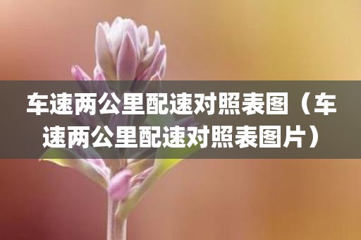 车速两公里配速对照表图（车速两公里配速对照表图片）