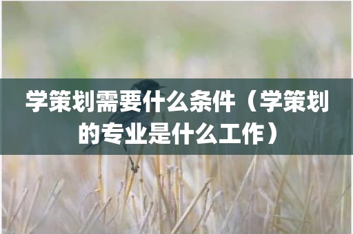 学策划需要什么条件（学策划的专业是什么工作）