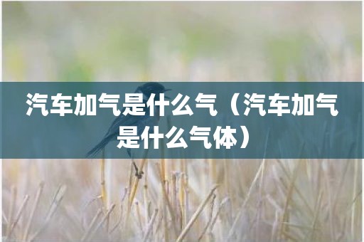 汽车加气是什么气（汽车加气是什么气体）