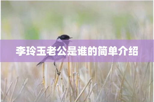 李玲玉老公是谁的简单介绍