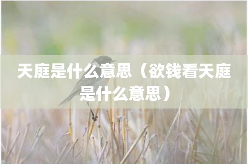 天庭是什么意思（欲钱看天庭是什么意思）