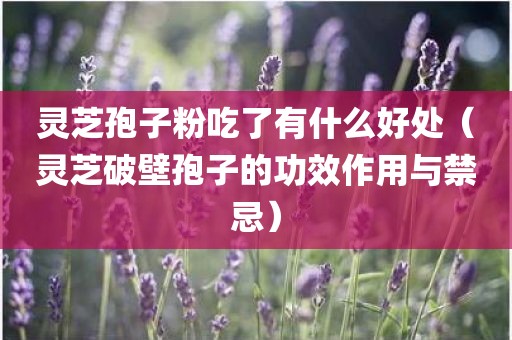 灵芝孢子粉吃了有什么好处（灵芝破壁孢子的功效作用与禁忌）