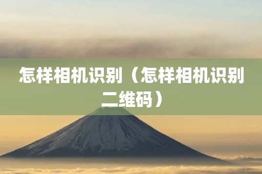 怎样相机识别（怎样相机识别二维码）