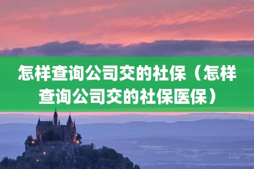 怎样查询公司交的社保（怎样查询公司交的社保医保）