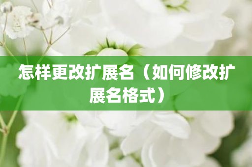 怎样更改扩展名（如何修改扩展名格式）