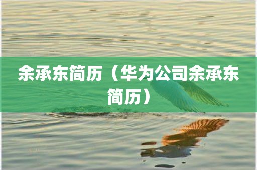余承东简历（华为公司余承东简历）