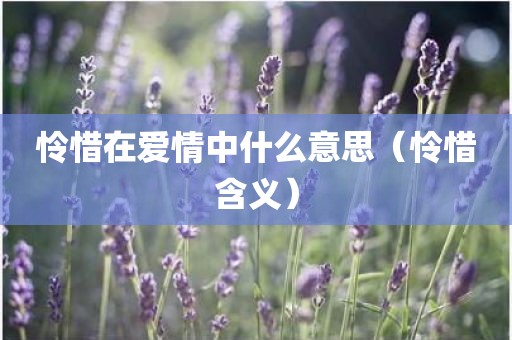怜惜在爱情中什么意思（怜惜含义）
