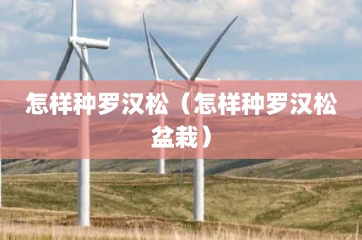 怎样种罗汉松（怎样种罗汉松盆栽）