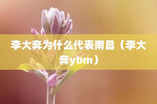 李大奔为什么代表南昌（李大奔ybm）