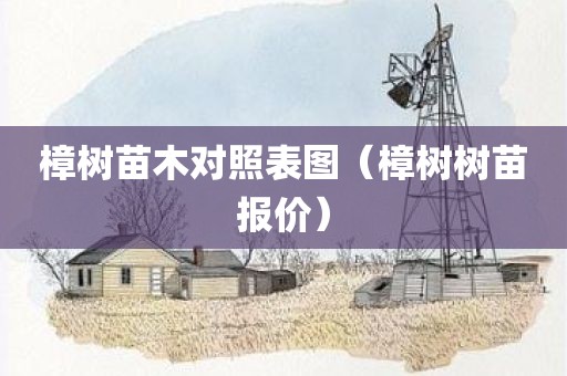樟树苗木对照表图（樟树树苗报价）