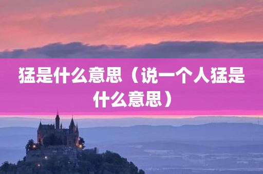 猛是什么意思（说一个人猛是什么意思）