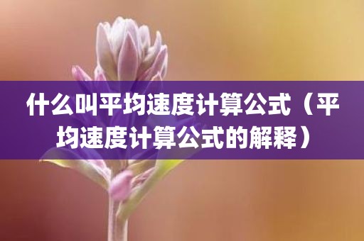 什么叫平均速度计算公式（平均速度计算公式的解释）