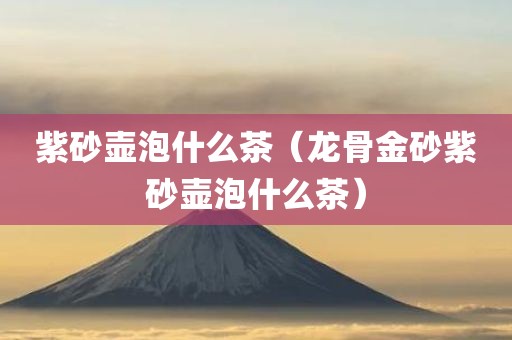 紫砂壶泡什么茶（龙骨金砂紫砂壶泡什么茶）