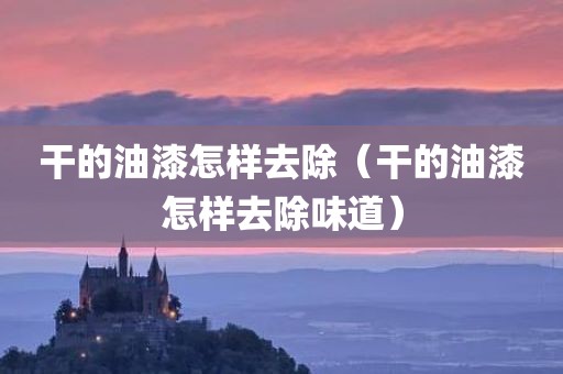 干的油漆怎样去除（干的油漆怎样去除味道）